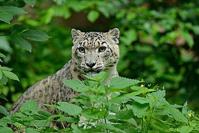 《星空》将拥有比《辐射4》更多的发型 更有特点